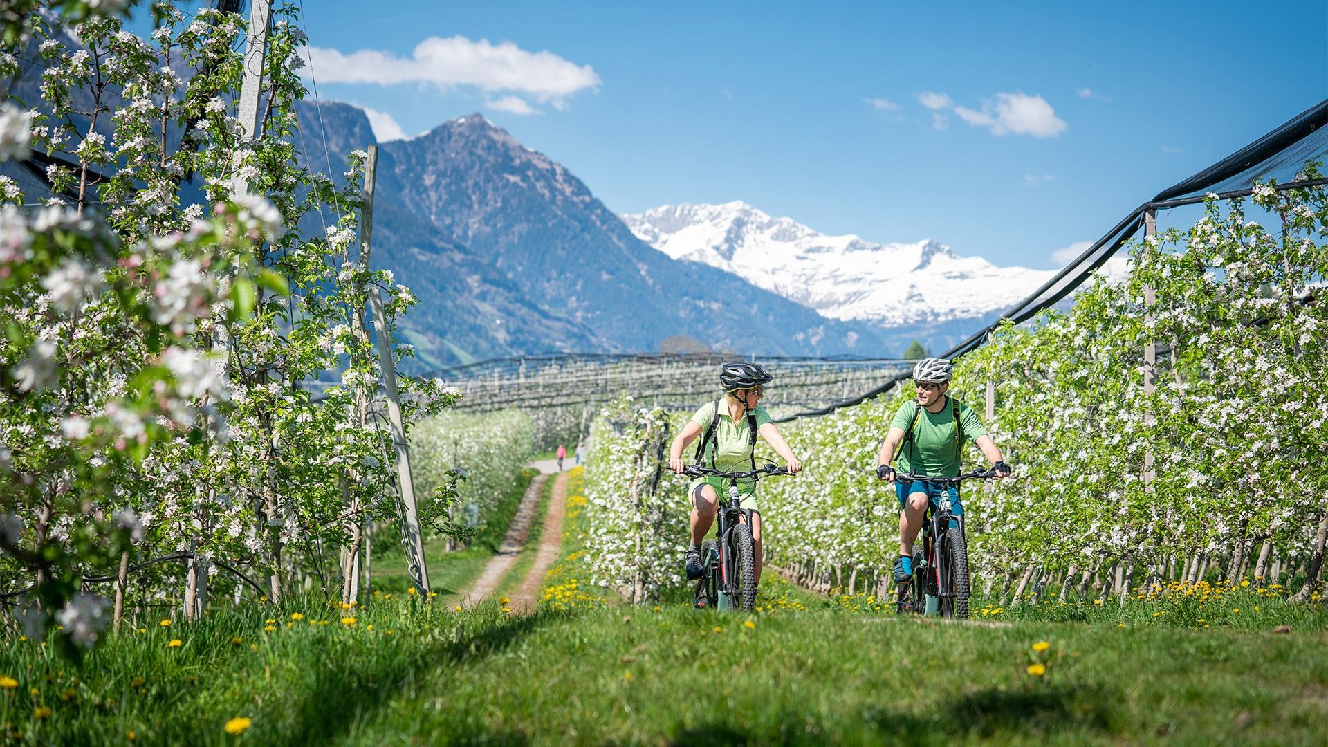 Plan your winter holiday in Merano and environs: lots of fun and excitement between sport, nature and shopping.