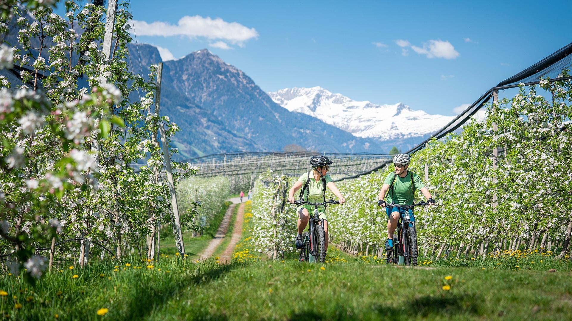 Winter in Meran und Umgebung: Erleben Sie einen stimmungsvollen Urlaub auf dem Christkindlmarkt oder einen aktiven, lustigen Urlaub in den Bergen.